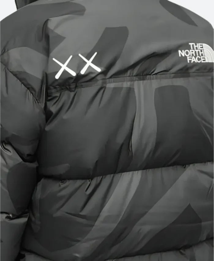 Kaws X The North Face Retro 1996 Puffer Jacket Zoom OImage