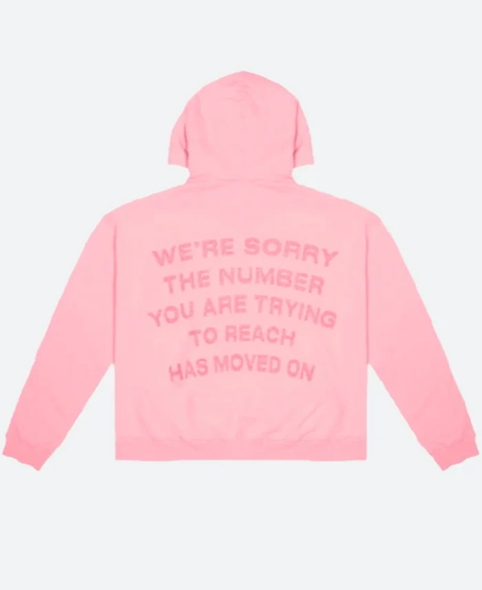 1 800 Boys Lie Hoodie Pink BAck Image